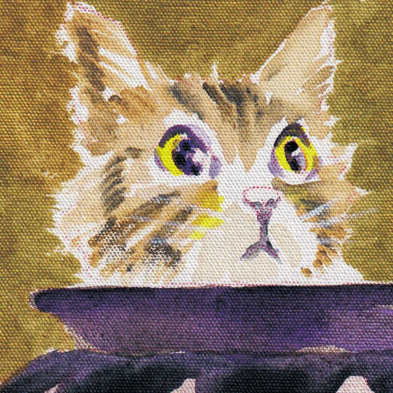 239-cat in pot - Image 4