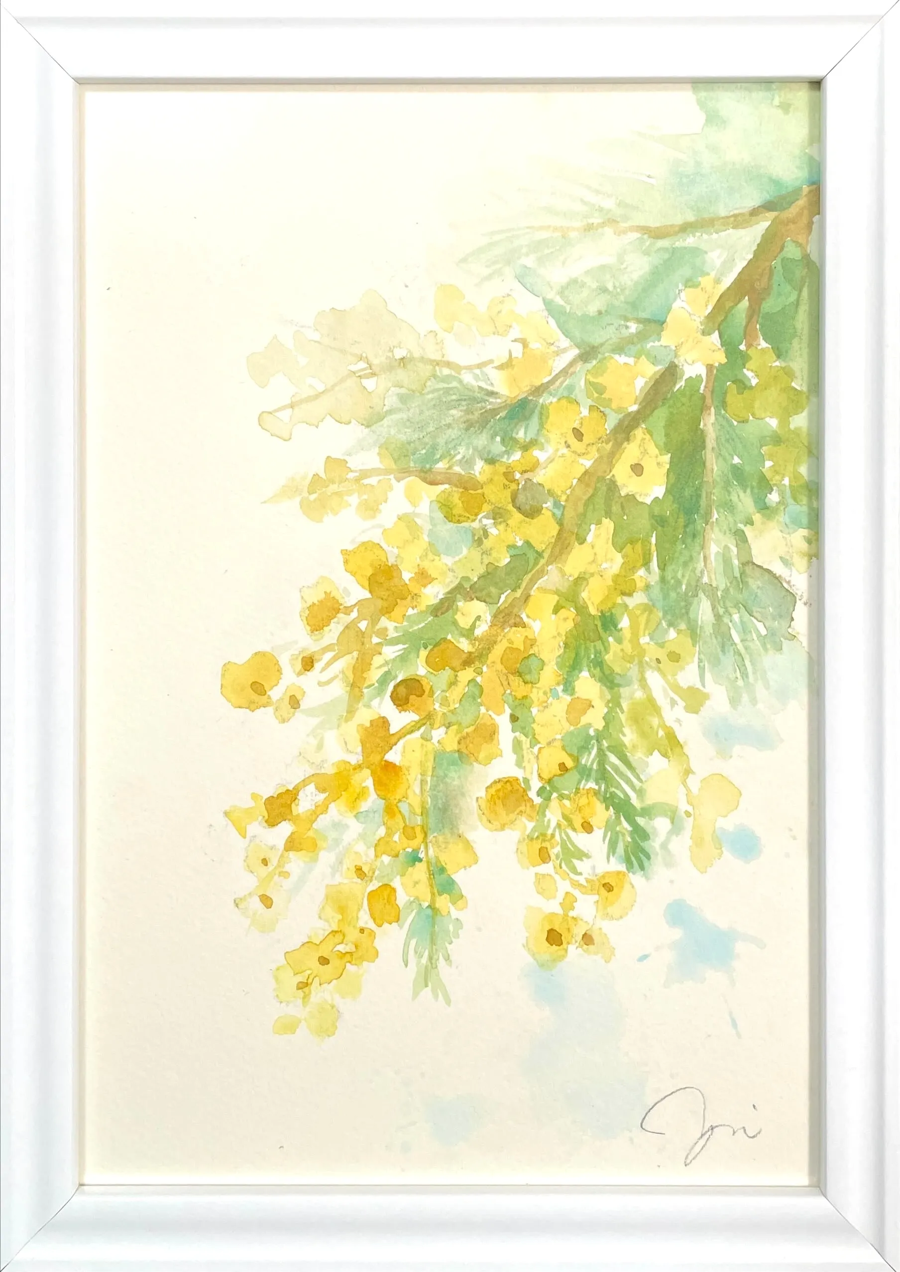 ミモザの朝 - Image 3