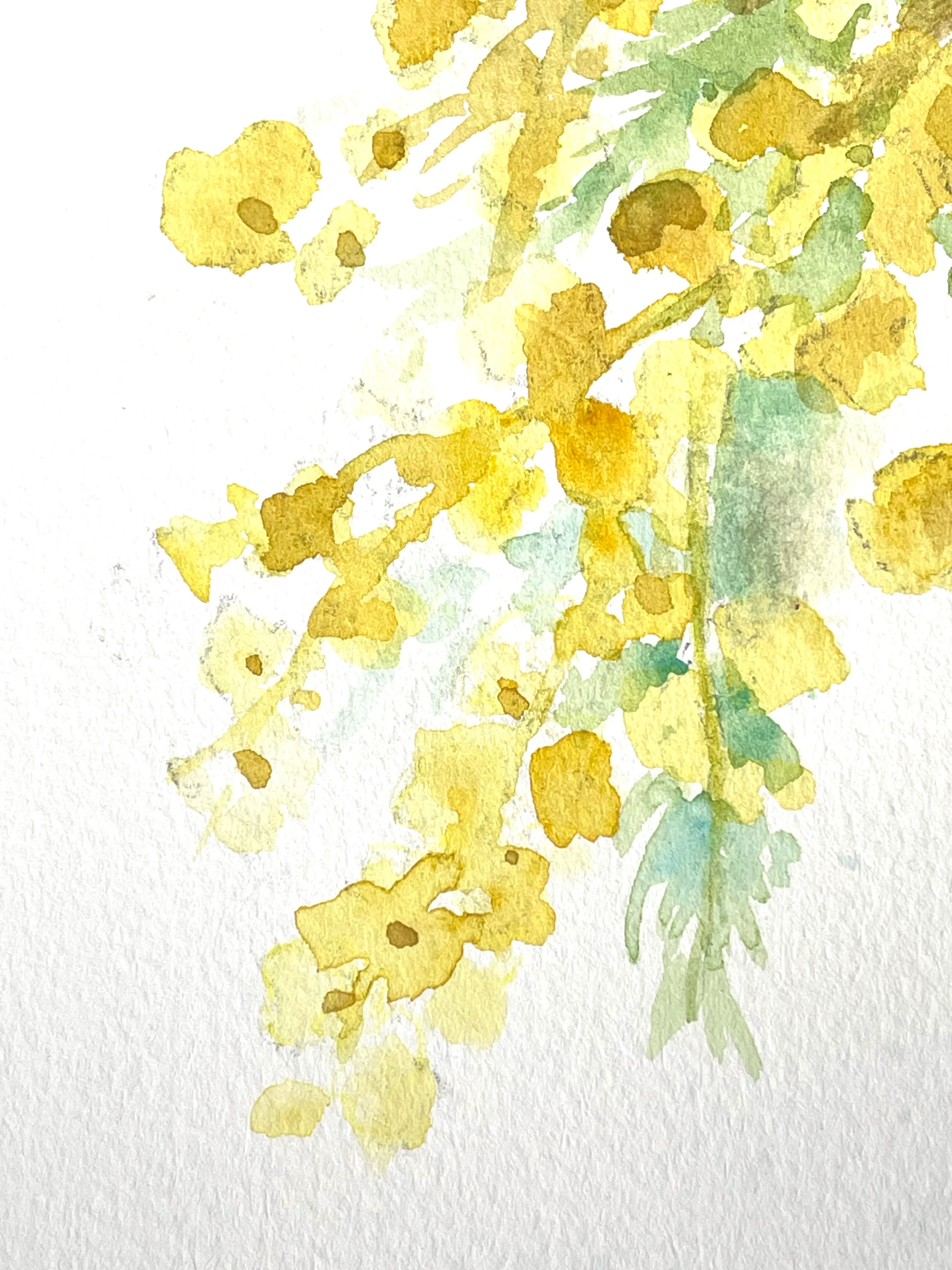 ミモザの朝 - Image 5