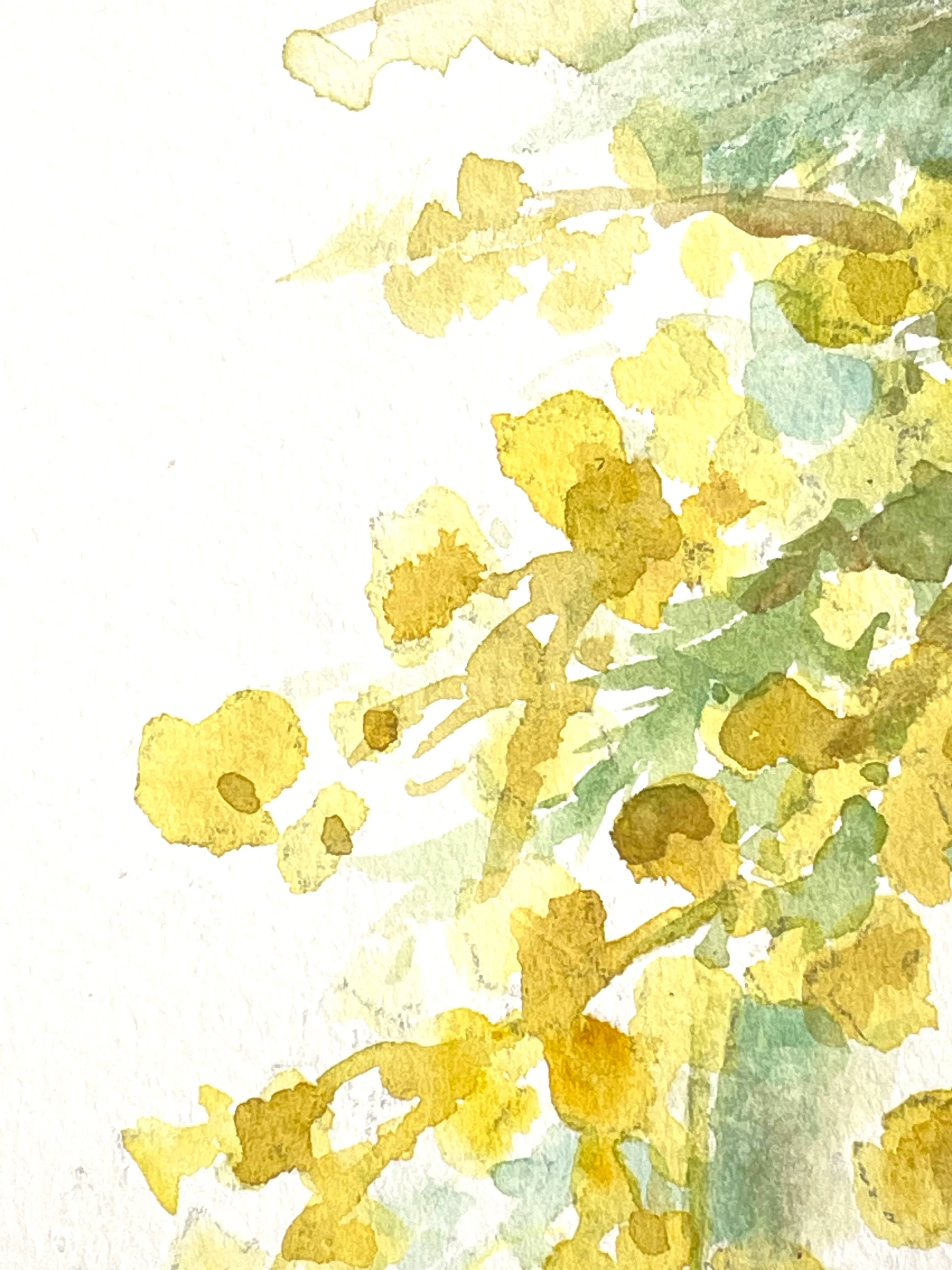 ミモザの朝 - Image 6